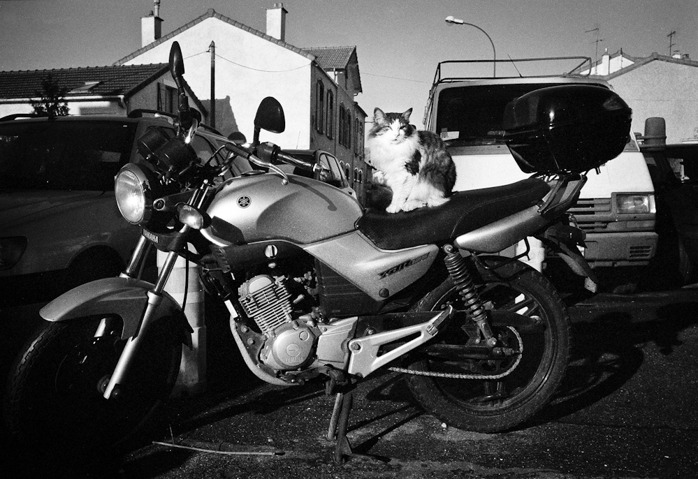 photo: série Street-photography
